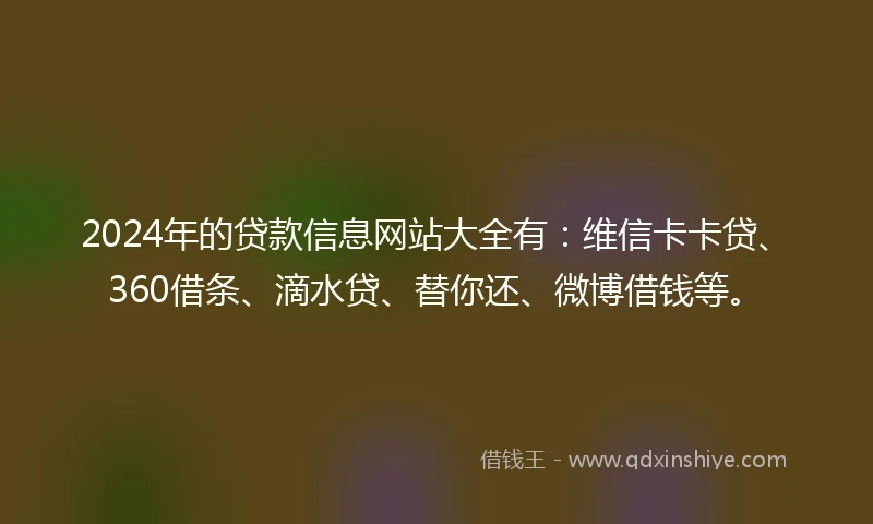 2024年的贷款信息网站大全有：维信卡卡贷、360借条、滴水贷、替你还、微博借钱等。