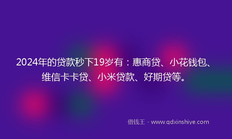 2024年的贷款秒下19岁有：惠商贷、小花钱包、维信卡卡贷、小米贷款、好期贷等。