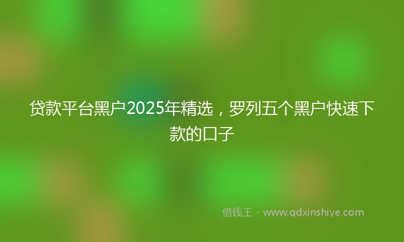 贷款平台黑户2025年精选，罗列五个黑户快速下款的口子