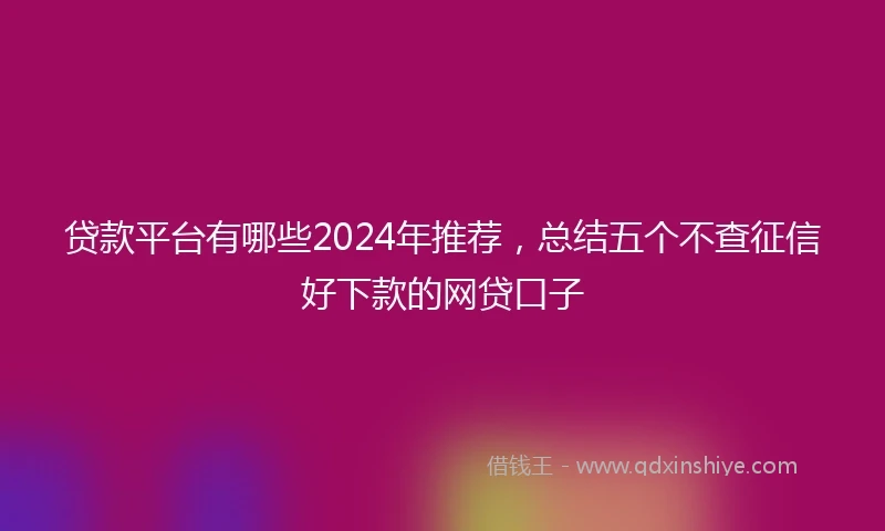 贷款平台有哪些2024年推荐，总结五个不查征信好下款的网贷口子