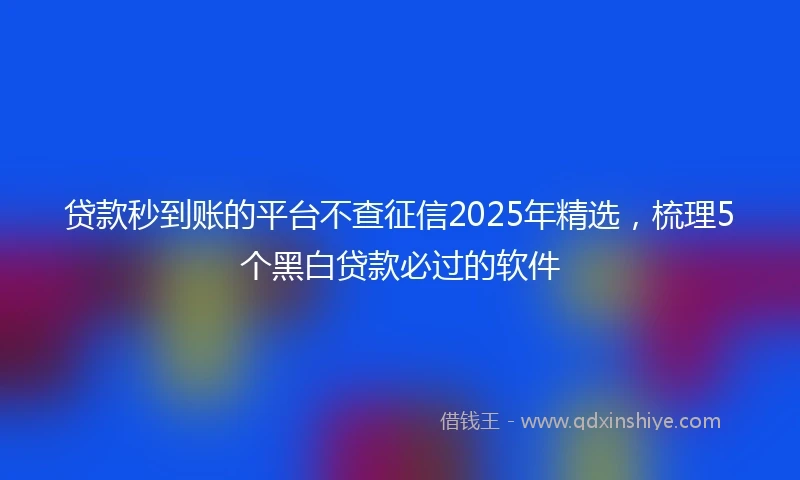 贷款秒到账的平台不查征信2025年精选，梳理5个黑白贷款必过的软件