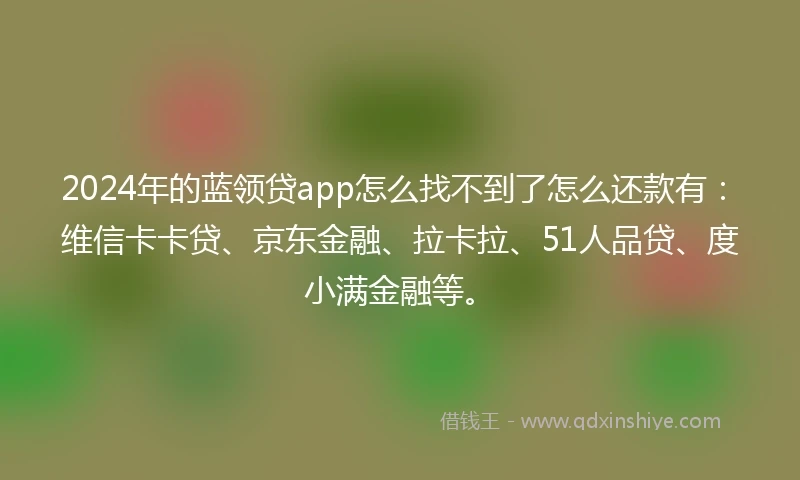 2024年的蓝领贷app怎么找不到了怎么还款有：维信卡卡贷、京东金融、拉卡拉、51人品贷、度小满金融等。