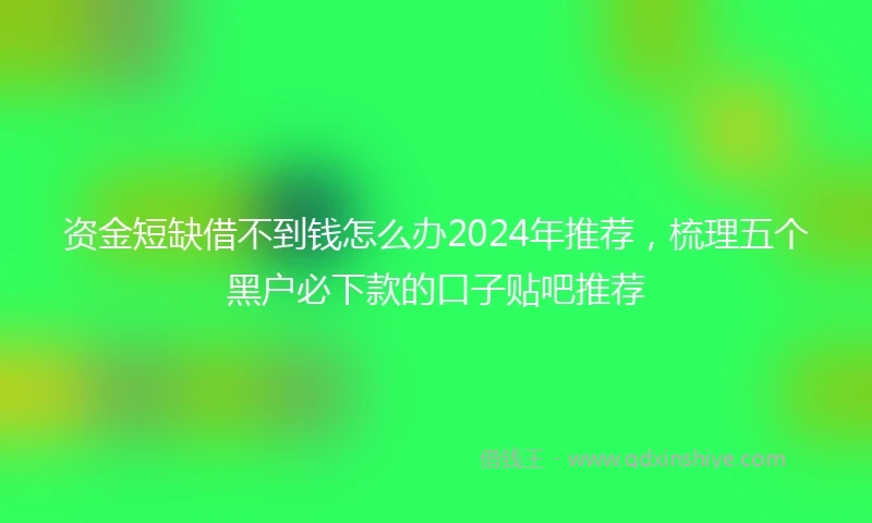 资金短缺借不到钱怎么办2024年推荐，梳理五个黑户必下款的口子贴吧推荐