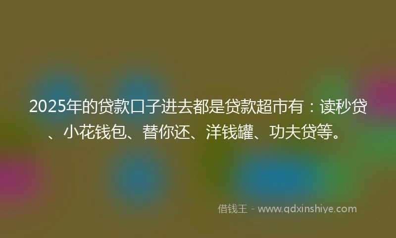 2025年的贷款口子进去都是贷款超市有：读秒贷、小花钱包、替你还、洋钱罐、功夫贷等。