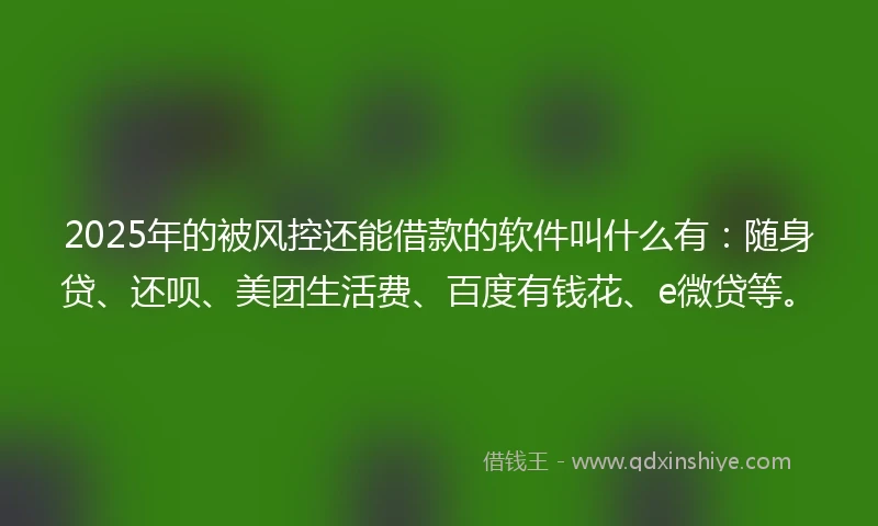 2025年的被风控还能借款的软件叫什么有：随身贷、还呗、美团生活费、百度有钱花、e微贷等。