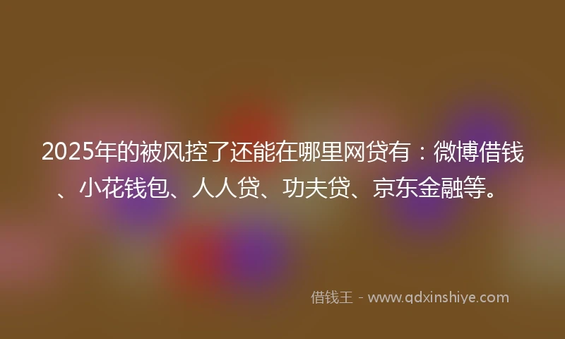 2025年的被风控了还能在哪里网贷有：微博借钱、小花钱包、人人贷、功夫贷、京东金融等。