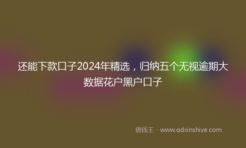 还能下款口子2024年精选，归纳五个无视逾期大数据花户黑户口子
