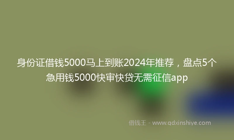 身份证借钱5000马上到账2024年推荐，盘点5个急用钱5000快审快贷无需征信app