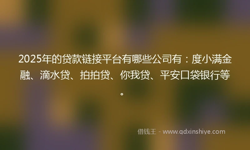 2025年的贷款链接平台有哪些公司有：度小满金融、滴水贷、拍拍贷、你我贷、平安口袋银行等。