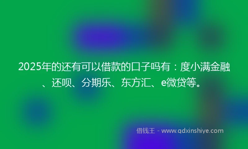 2025年的还有可以借款的口子吗有：度小满金融、还呗、分期乐、东方汇、e微贷等。