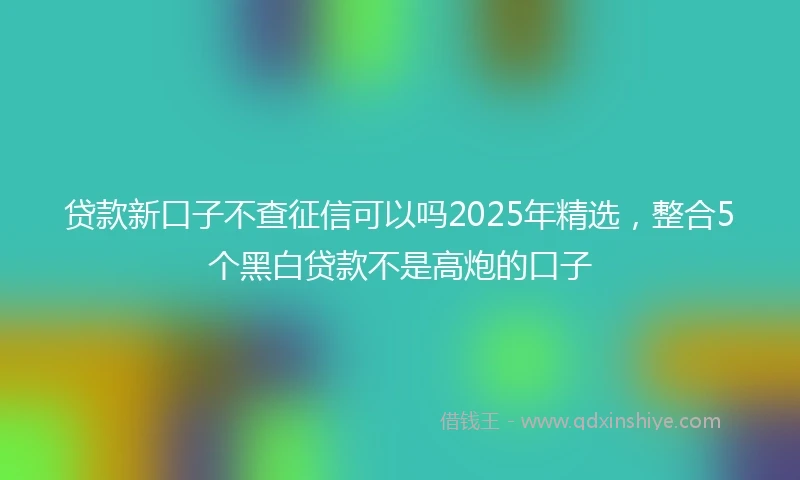 贷款新口子不查征信可以吗2025年精选，整合5个黑白贷款不是高炮的口子