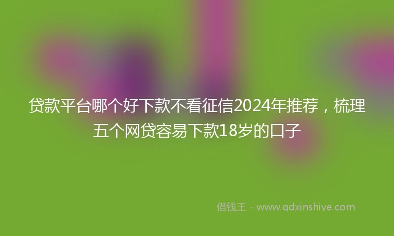 贷款平台哪个好下款不看征信2024年推荐，梳理五个网贷容易下款18岁的口子