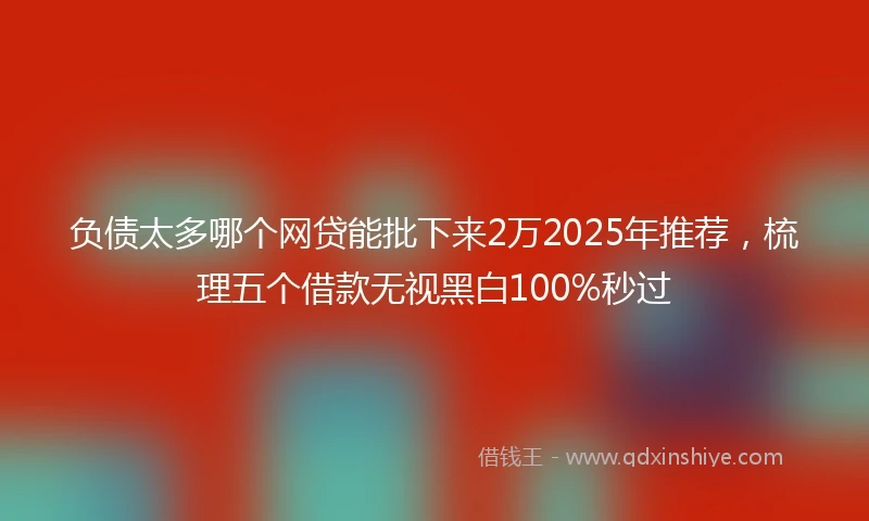 负债太多哪个网贷能批下来2万2025年推荐，梳理五个借款无视黑白100%秒过