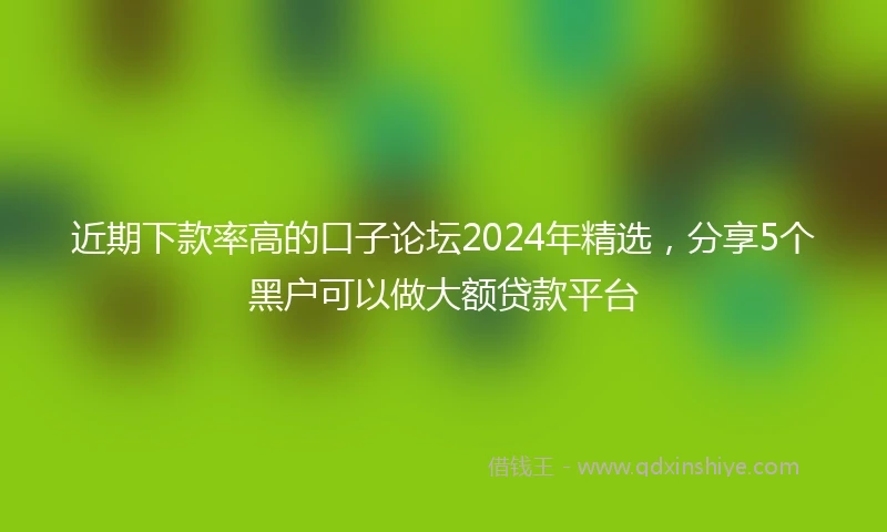 近期下款率高的口子论坛2024年精选，分享5个黑户可以做大额贷款平台