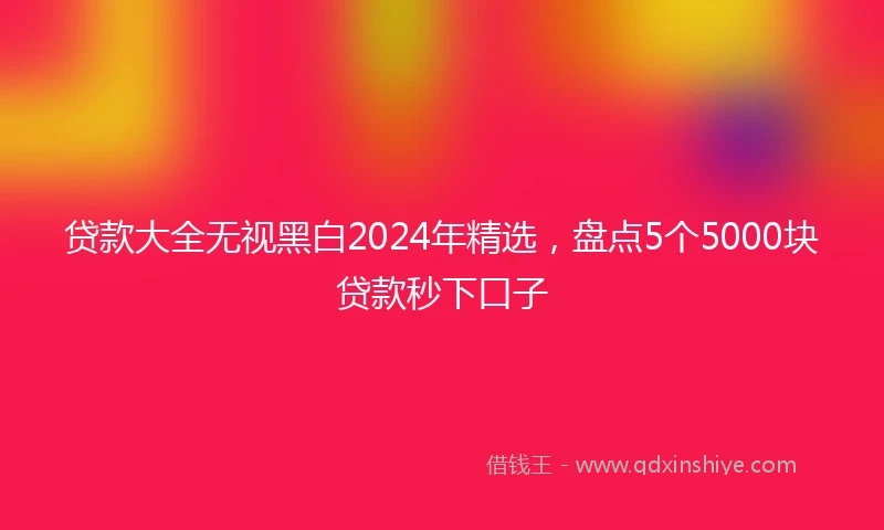 贷款大全无视黑白2024年精选，盘点5个5000块贷款秒下口子