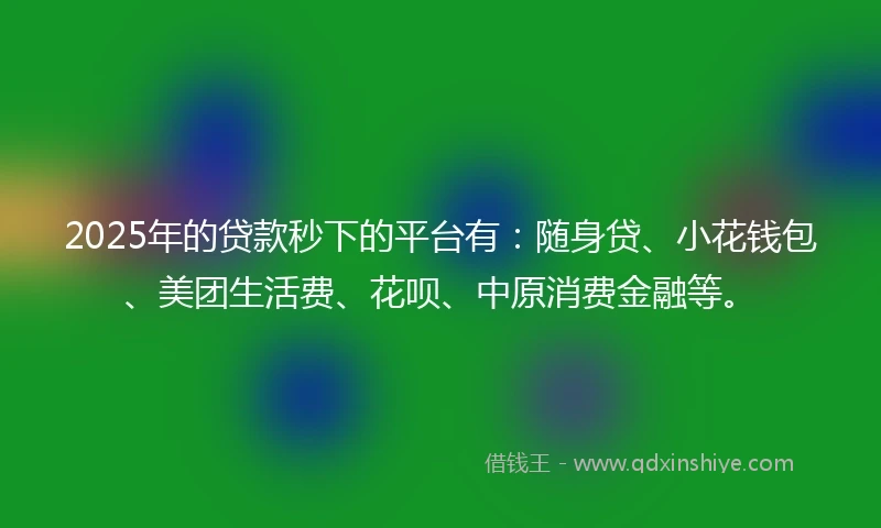 2025年的贷款秒下的平台有：随身贷、小花钱包、美团生活费、花呗、中原消费金融等。