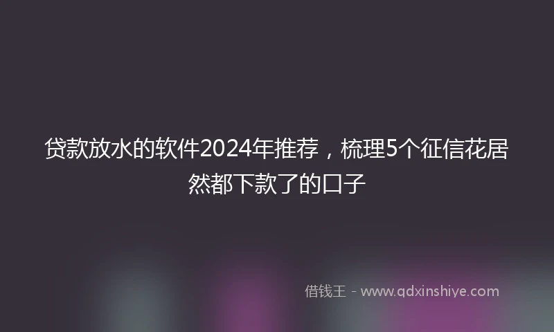 贷款放水的软件2024年推荐，梳理5个征信花居然都下款了的口子
