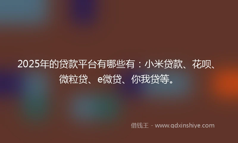 2025年的贷款平台有哪些有：小米贷款、花呗、微粒贷、e微贷、你我贷等。
