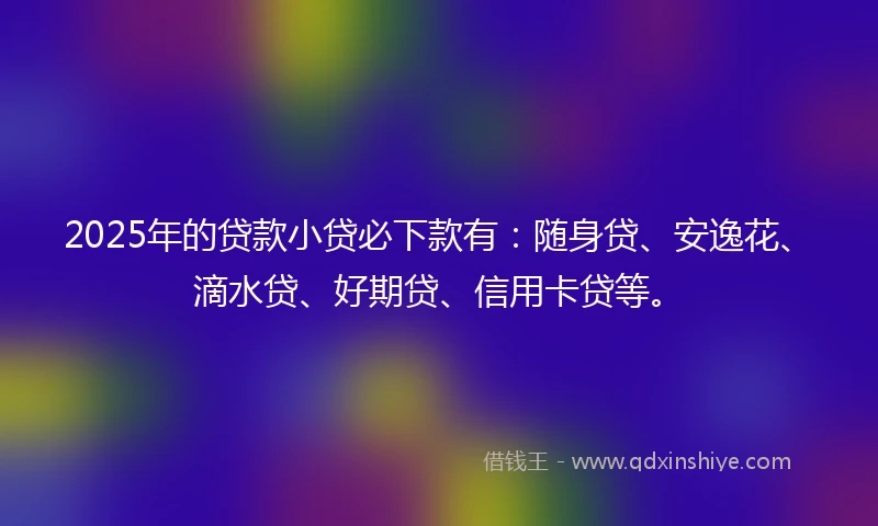 2025年的贷款小贷必下款有:随身贷、安逸花、滴水贷、好期贷、信用卡贷等。
