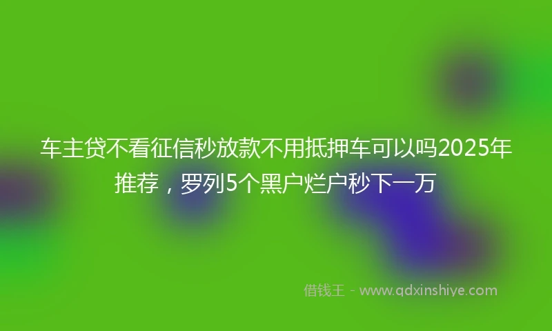 车主贷不看征信秒放款不用抵押车可以吗2025年推荐，罗列5个黑户烂户秒下一万