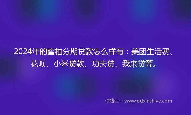 2024年的蜜柚分期贷款怎么样有：美团生活费、花呗、小米贷款、功夫贷、我来贷等。