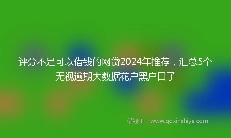 评分不足可以借钱的网贷2024年推荐，汇总5个无视逾期大数据花户黑户口子