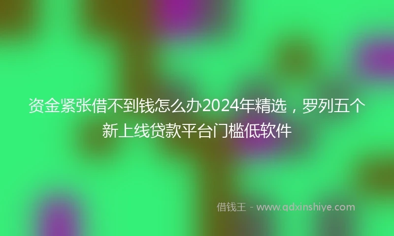 资金紧张借不到钱怎么办2024年精选，罗列五个新上线贷款平台门槛低软件