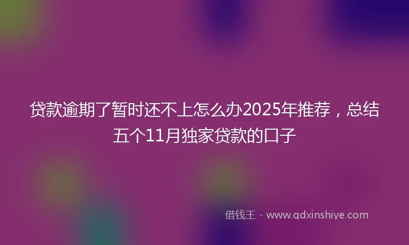 贷款逾期了暂时还不上怎么办2025年推荐，总结五个11月独家贷款的口子