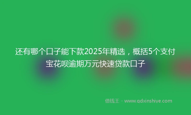 还有哪个口子能下款2025年精选，概括5个支付宝花呗逾期万元快速贷款口子