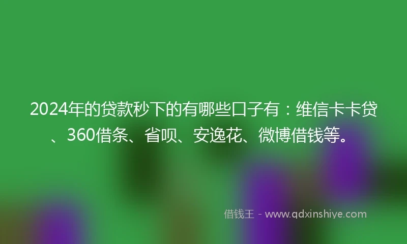 2024年的贷款秒下的有哪些口子有：维信卡卡贷、360借条、省呗、安逸花、微博借钱等。