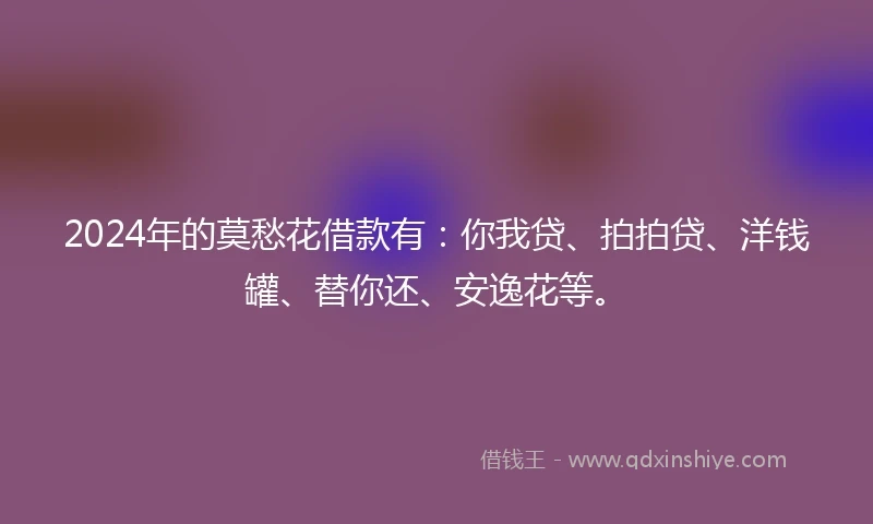 2024年的莫愁花借款有：你我贷、拍拍贷、洋钱罐、替你还、安逸花等。