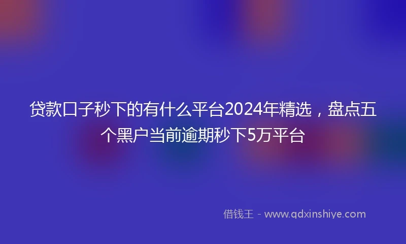 贷款口子秒下的有什么平台2024年精选，盘点五个黑户当前逾期秒下5万平台