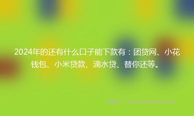 2024年的还有什么口子能下款有：团贷网、小花钱包、小米贷款、滴水贷、替你还等。