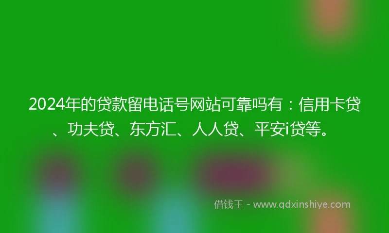 2024年的贷款留电话号网站可靠吗有：信用卡贷、功夫贷、东方汇、人人贷、平安i贷等。