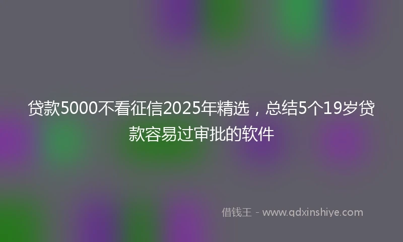 贷款5000不看征信2025年精选，总结5个19岁贷款容易过审批的软件