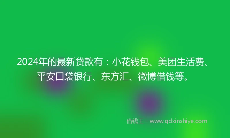 2024年的最新贷款有：小花钱包、美团生活费、平安口袋银行、东方汇、微博借钱等。