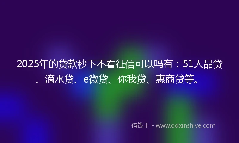 2025年的贷款秒下不看征信可以吗有：51人品贷、滴水贷、e微贷、你我贷、惠商贷等。