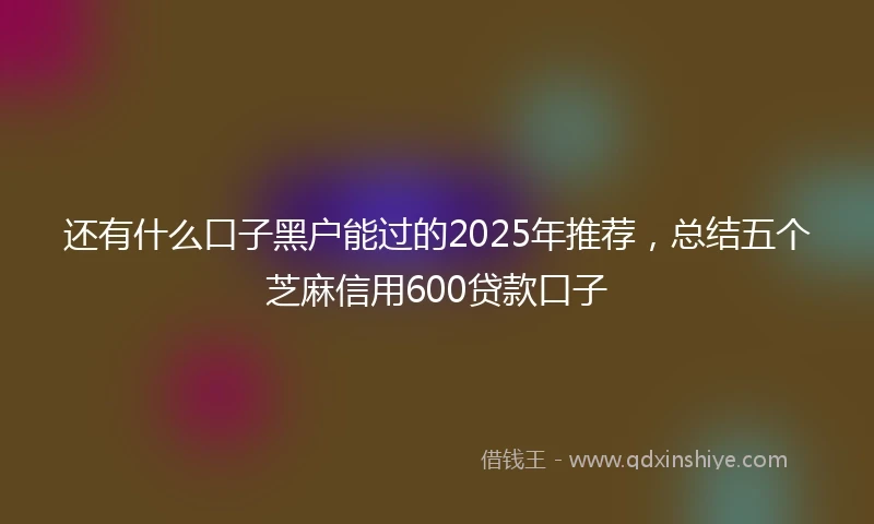 还有什么口子黑户能过的2025年推荐，总结五个芝麻信用600贷款口子