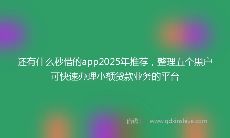 还有什么秒借的app2025年推荐，整理五个黑户可快速办理小额贷款业务的平台