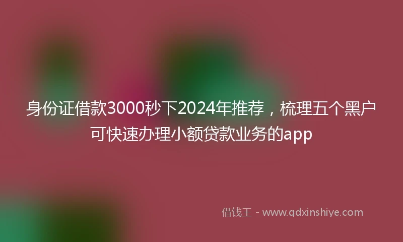 身份证借款3000秒下2024年推荐，梳理五个黑户可快速办理小额贷款业务的app