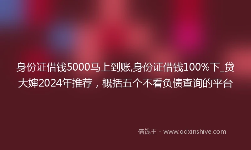 身份证借钱5000马上到账,身份证借钱100%下_贷大婶2024年推荐，概括五个不看负债查询的平台