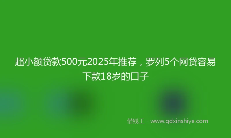 超小额贷款500元2025年推荐,罗列5个网贷容易下款18岁的口子
