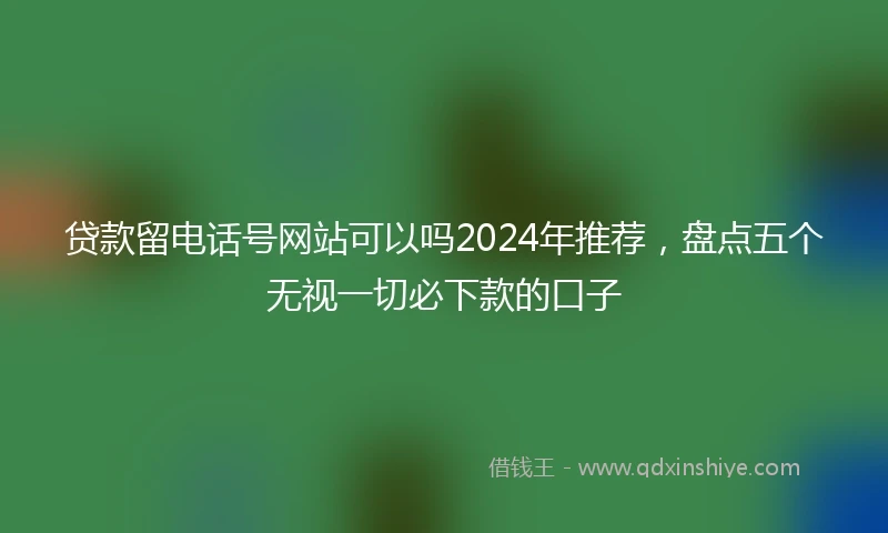 贷款留电话号网站可以吗2024年推荐，盘点五个无视一切必下款的口子