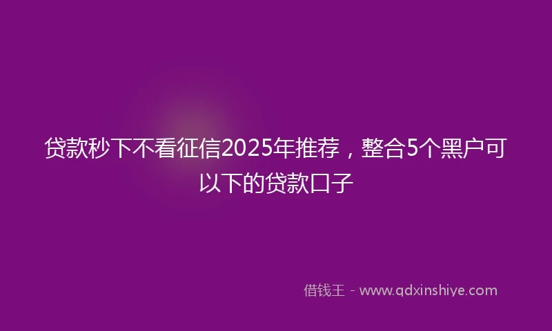 贷款秒下不看征信2025年推荐，整合5个黑户可以下的贷款口子