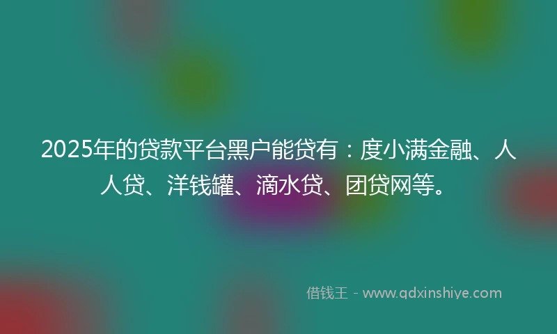 2025年的贷款平台黑户能贷有：度小满金融、人人贷、洋钱罐、滴水贷、团贷网等。
