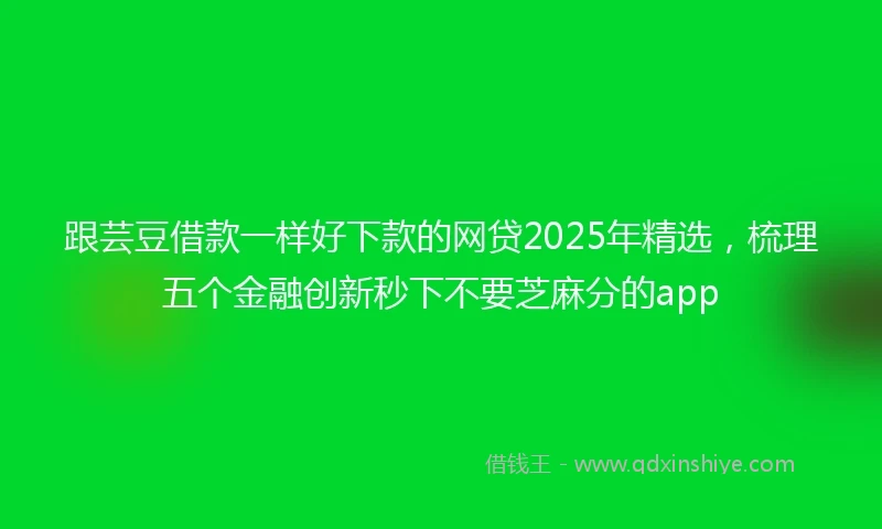 跟芸豆借款一样好下款的网贷2025年精选，梳理五个金融创新秒下不要芝麻分的app