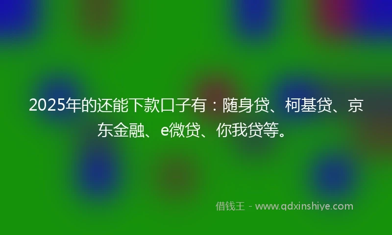 2025年的还能下款口子有：随身贷、柯基贷、京东金融、e微贷、你我贷等。
