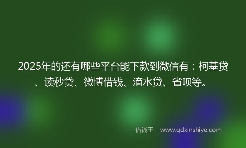 2025年的还有哪些平台能下款到微信有：柯基贷、读秒贷、微博借钱、滴水贷、省呗等。