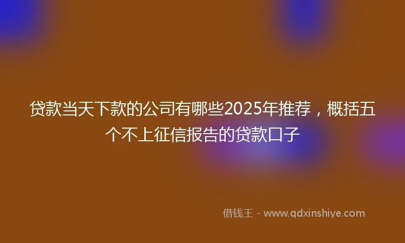 贷款当天下款的公司有哪些2025年推荐，概括五个不上征信报告的贷款口子