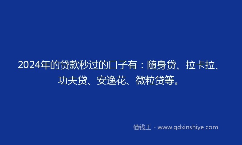 2024年的贷款秒过的口子有：随身贷、拉卡拉、功夫贷、安逸花、微粒贷等。